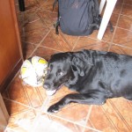 Lula e sua bola